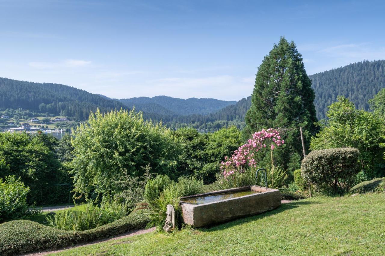 Le Manoir Au Lac Gérardmer Eksteriør billede