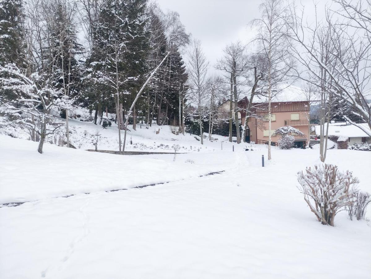 Le Manoir Au Lac Gérardmer Eksteriør billede