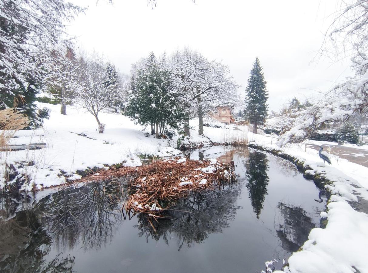 Le Manoir Au Lac Gérardmer Eksteriør billede